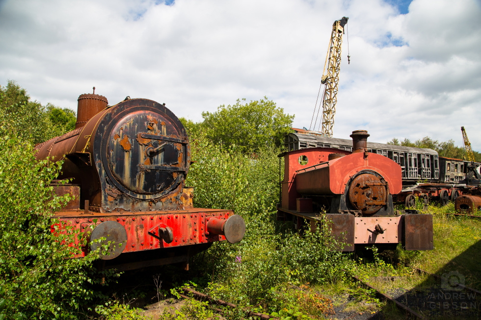 Two rusting engines in the sun, surrounded by overgrowth at Tanfield Railway Yard.