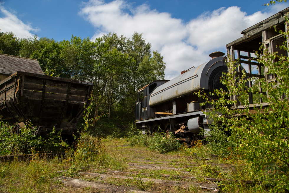 Tank engine and coaches/wagons at Tanfield Railway Yard. Summer overgrowth and sunshine.