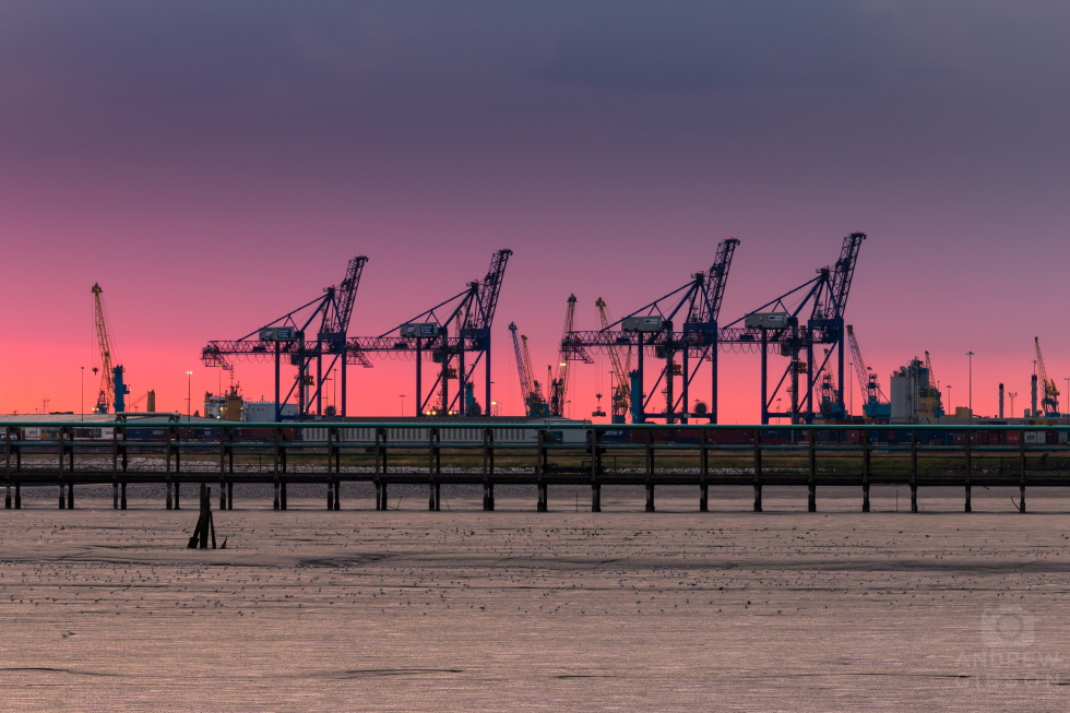 Cranes, Port of Humber